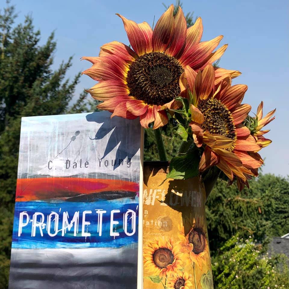 webbish6's tweet image. This Week on the Blog, Late Summer Edition: A Week of Wildfire Smoke, The First Week of Breadloaf with Pitches and Lectures, Plus the Sealey Challenge Continues: webbish6.com/a-week-of-wild… #SealeyChallenge #Breadloaf #wildfiresmoke