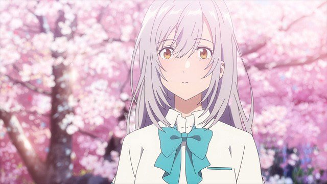 イベント限定 レア 希少 色づく世界の明日から ハーバリウム 月白瞳 色づく世界の明日から 月白瞳美＆月白琥珀 鍋冠山B2タペストリー