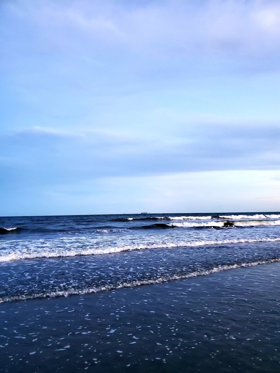 SassenachAlba_1's tweet photo. #IOP
#SCcoast https://t.co/Uga5Lbdapu