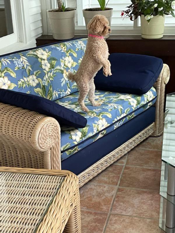 HomestyleMKE's tweet photo. Relax. Be safe and happy https://t.co/SsePaARoe2