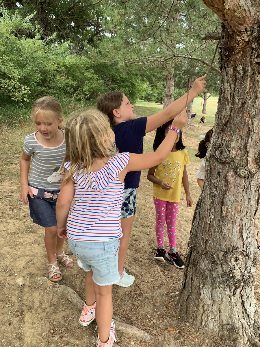 MrsJohnsonHSE's tweet photo. What’s that stuff on the tree? #curiouschildren #recessexploring https://t.co/mDKiXPbIXv