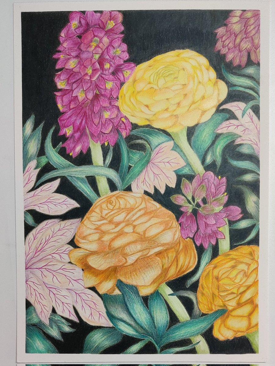 RaveenaBaskaran's tweet photo. #artprint #artoftheday #colorpencil #colorpencildrawing #fabercastellpolychromos #derwentlighfast #pencilart #pencildrawing #colorpencilart #colorpencilgang #colorpencildrawing✏️🎨 #colorpenciladdict #botanicalart #botanicalinspiration #floraldesign #floralart #raveenadesignhouse https://t.co/wiC4CXyWUJ