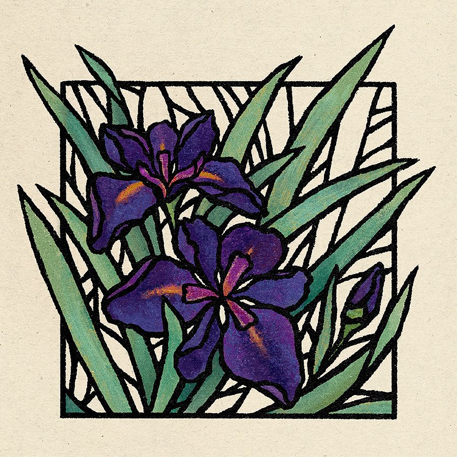 ddccad's tweet photo. Flowers make everything better ✿ #Iris #art https://t.co/2zz4mJCEnt