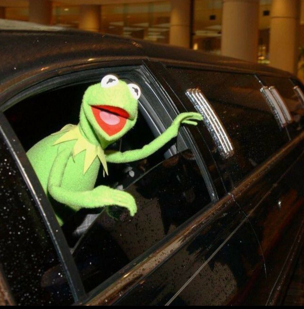 жаба едет. жаба в прыжке. жаба едет. лягушка с чемоданом. жаба едет.