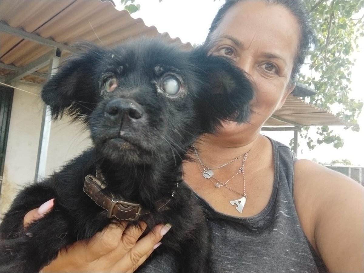 PERRERA DE LOS BARRIOS CADIZ
Comparte para ayudar a TOOTSIE
Está en tratamiento a la espera de cita con el oftalmólogo en Sevilla
Hembra 11 años, 5 kg
Su dueño murió y terminó en la perrera
Necesita salir URGENTE
Si deseas brindarle un hogar
sosperreradelosbarrios@hotmail.com