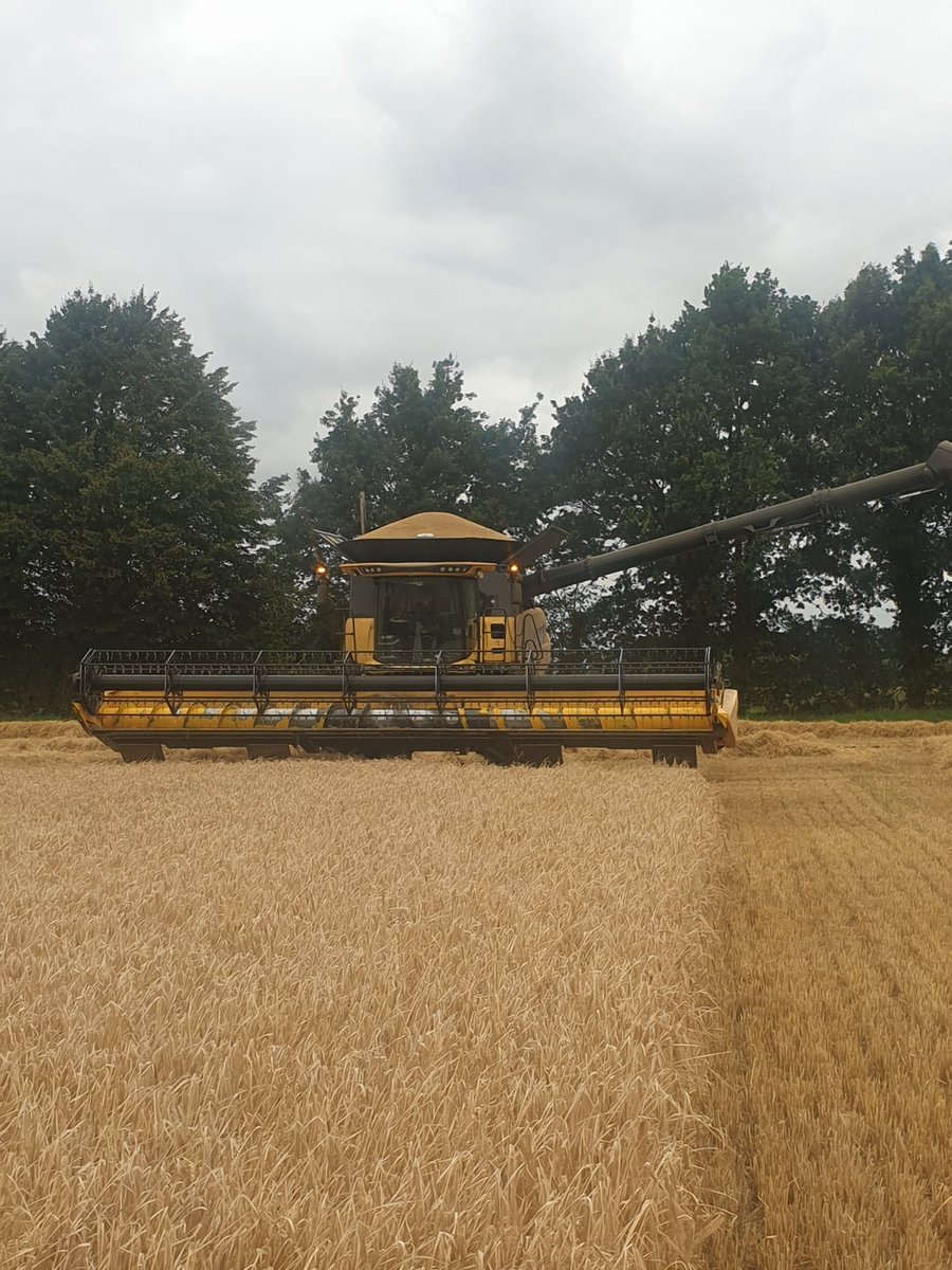 Not going to get anymore in there