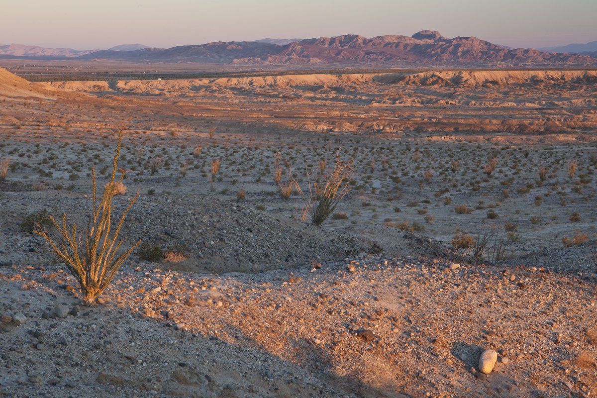 Today is the 31st anniversary of the Juan Bautista de Anza National Historic Trail: a 1,200 mile-long trail through Mexico, AZ, and CA. Follow <a href="/OfficialAIANTA/">American Indigenous Tourism Association</a> to learn about the connections Indigenous Tribes have to these #PublicLands. #NationalConservationLands 

📸BLM