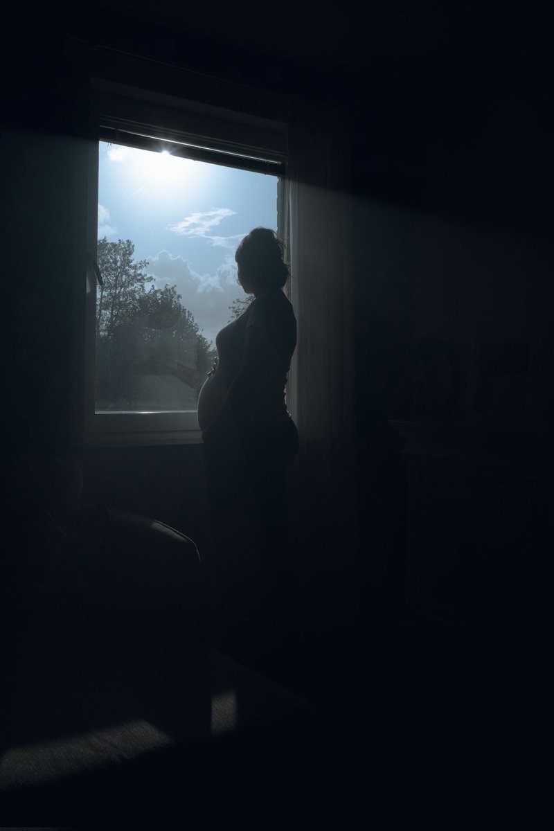 On the nature of daylight #daylight #life #photography