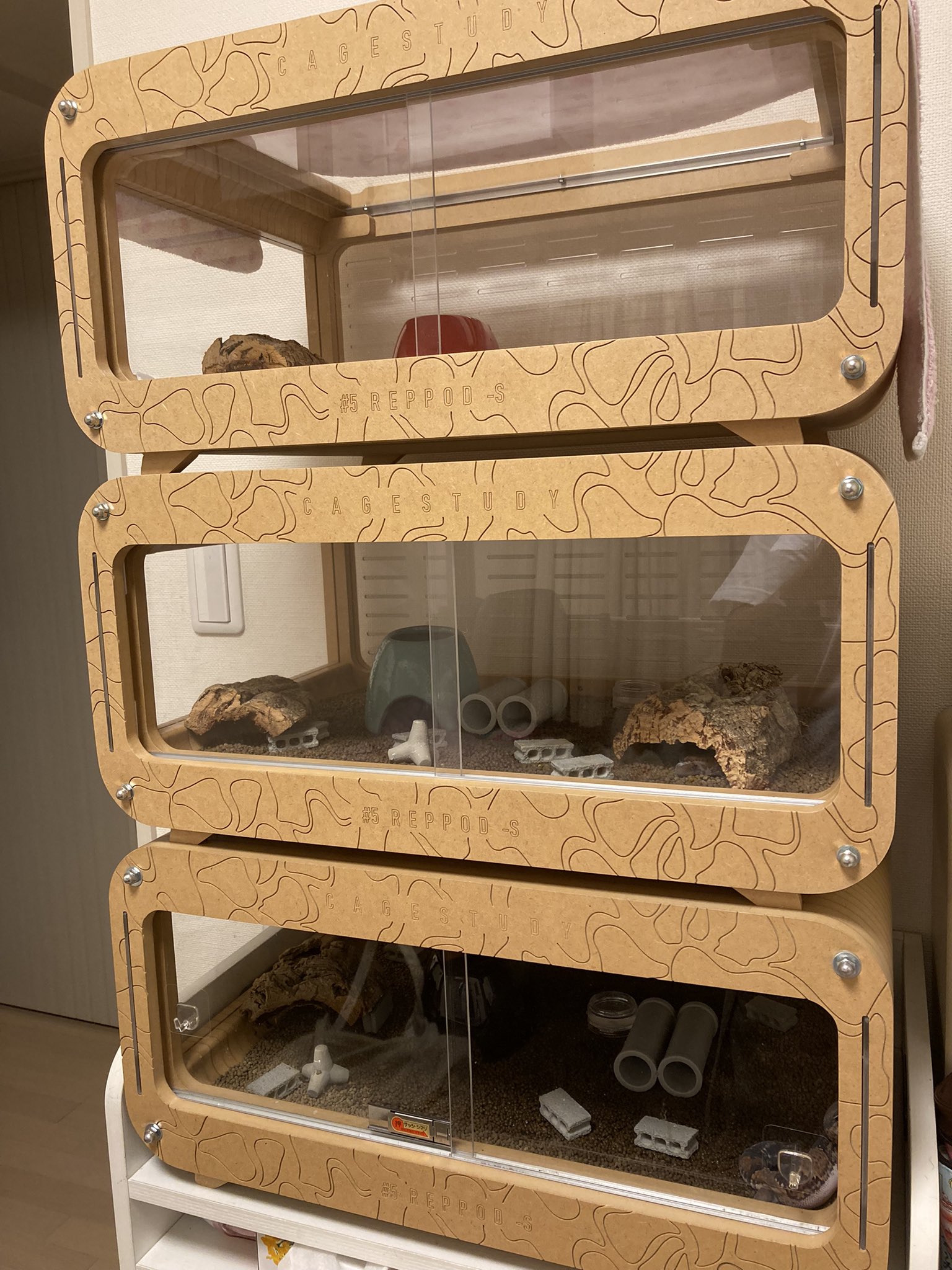 CAGESTUDY - Search / X