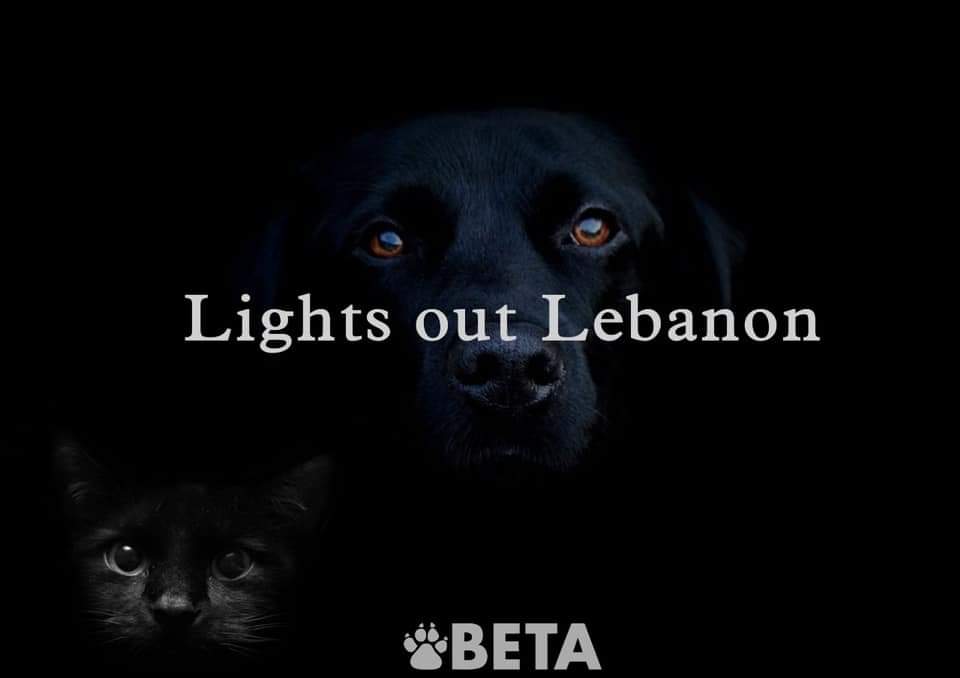 SamahaRitaMaria's tweet photo. 💔🇱🇧💔😓

What has a person to say, no more words, just praying very loudly to God, Lord Jesus and Saint Mary. I don't know if our voice is reaching them in Heaven. We really need a miracle from God, Amen 🙏🏻

#Lebanon 
#لبنان https://t.co/fV9EimoCkI