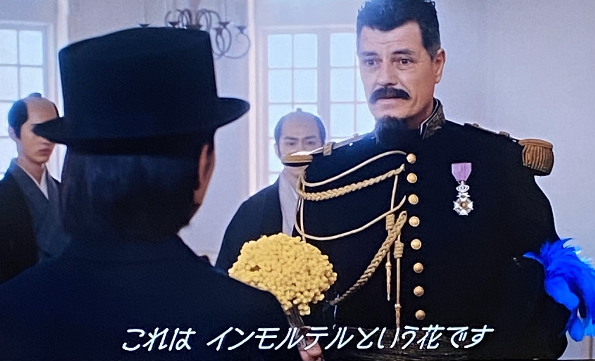 アキ イモーテルの花言葉は 不滅の愛 黄金の輝き 青天を衝け T Co Vaqygmktql Twitter