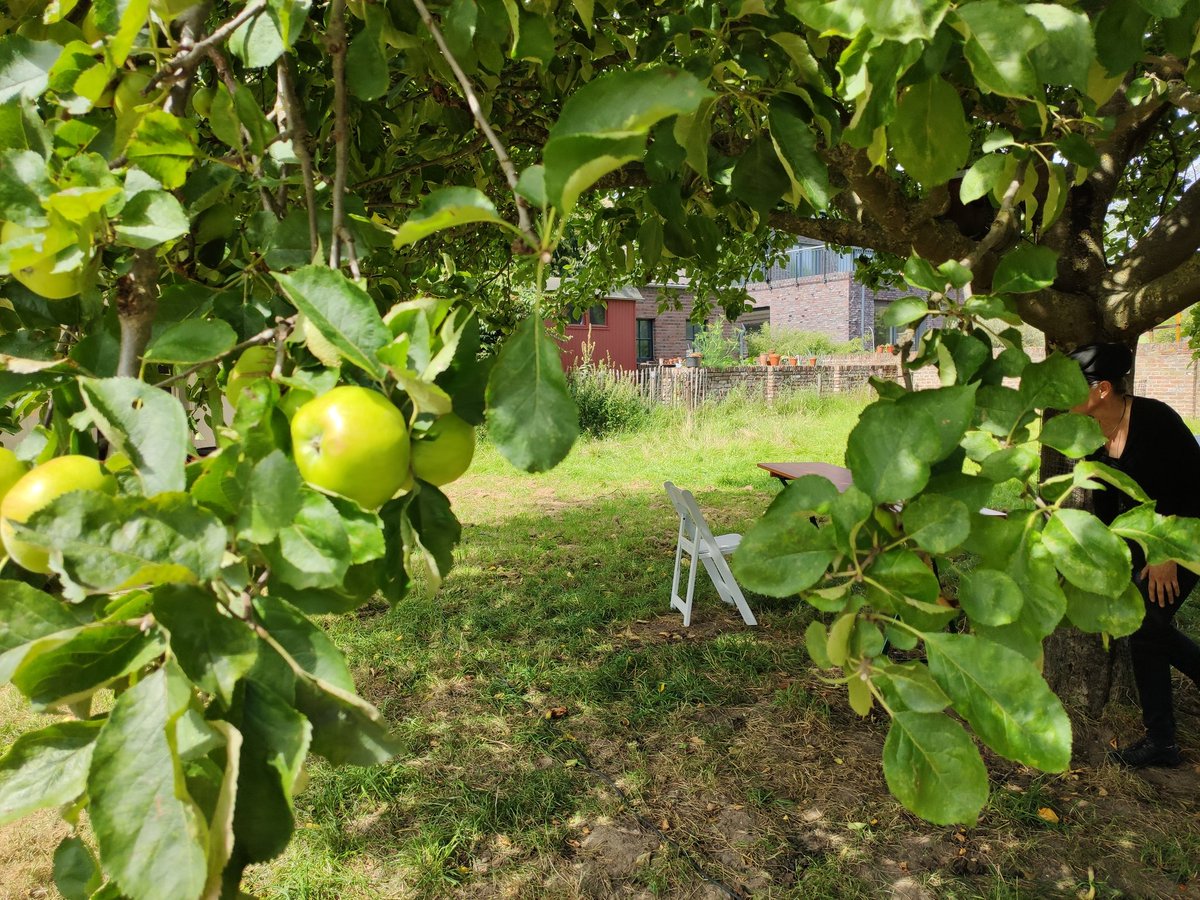 hkuemper's tweet photo. GLEICH FÄNGT'S AN ... Lesung aus "Der Traum vom Ehrbare Kaufmann" bei lauem Wind im Schatten der tollen Obstbäume im Dominikanerbongart in Kalkar. #hanse #ullsteinliest #kalkar https://t.co/mADlmM7gtz