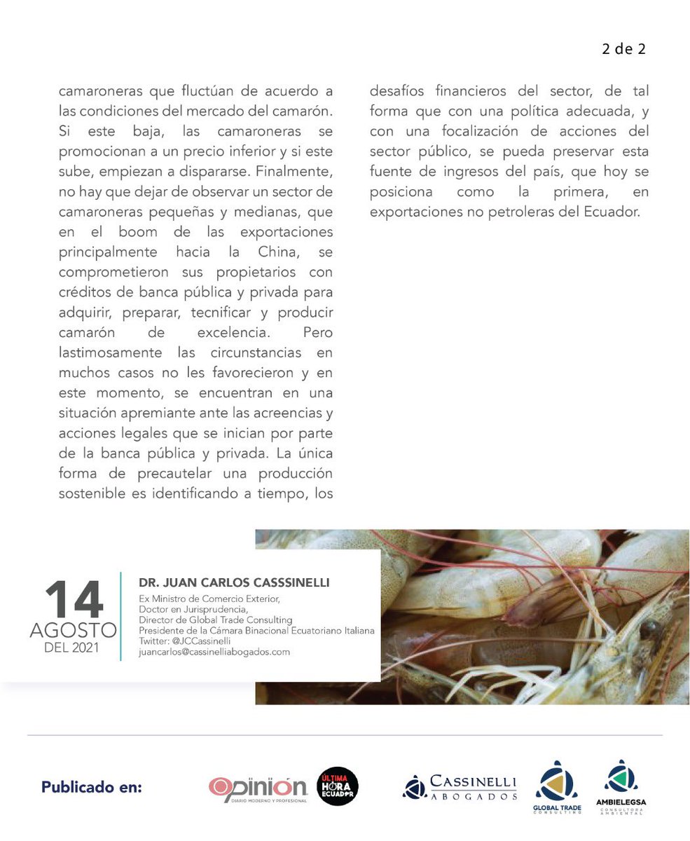 JCCassinelli's tweet photo. Buenos días.   “Los vaivenes del camarón” comparto mi opinión al respecto publicado en @elmercuriomanta @ultimahoraEC @diariopinion @ecuaitalia @cna_ecuador @CassinelliAbg @ProduccionEc @MinAcuaPescaEc https://t.co/kBhAoMrZeR