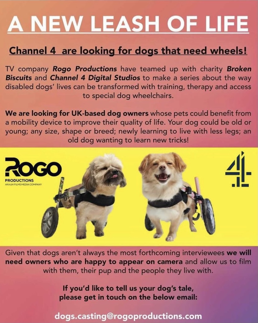 Broken Biscuits: enabling disabled dogs to live their lives to the fullest! Do you know a dog who needs help!? Deadline closing in! 20th of August! @biscuits_broken <a href="/RogoProductions/">RogoProductions</a> <a href="/Channel4/">Channel 4</a> #letsgetrolling #ukdogs