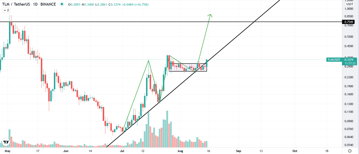 j0hnnyw00's tweet photo. Do you want to do a "real" pump this time? $TLM https://t.co/sJTnwSJIfm