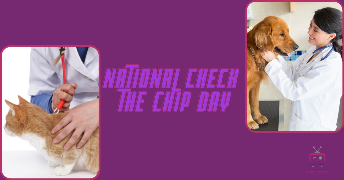 PetCultMedia's tweet photo. It's National Check The Chip Day! Choosing to microchip your pets greatly increases the chances that lost, missing, or stolen pets will be reunited with their families. #petcultmedia #petcult #petcommunity #petsaftey #missingpets https://t.co/Y5yANw5Qse