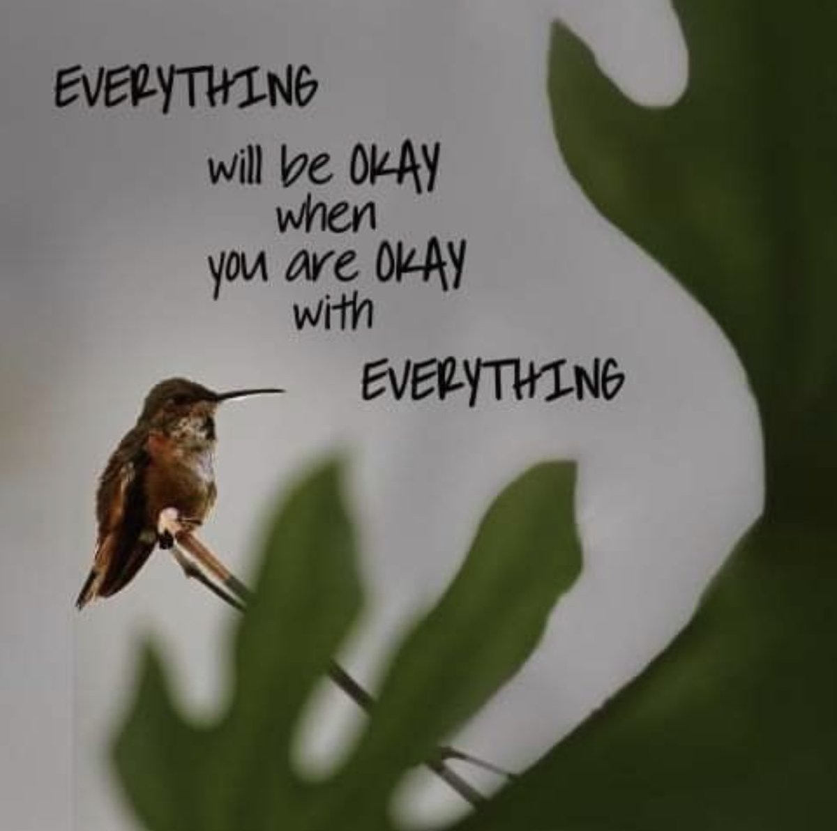 circleoftrees_'s tweet photo. https://t.co/GcMZtJIyOg