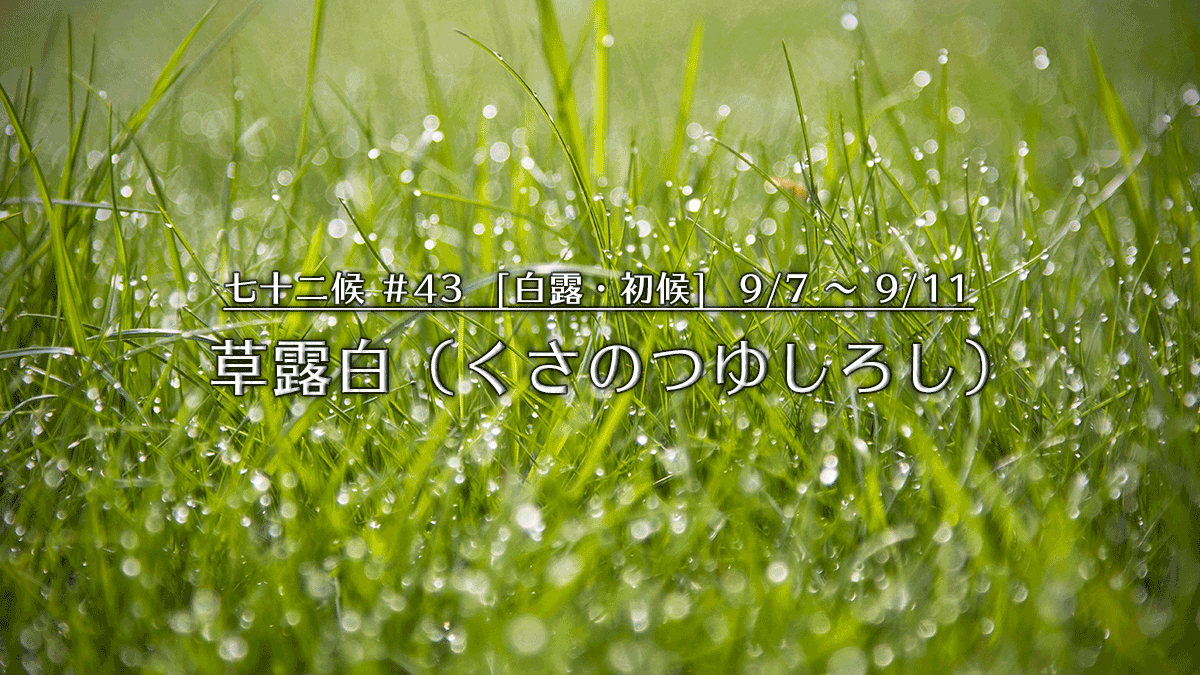 草露白 Twitter Search Twitter 草露白 Twitter Search Twitter