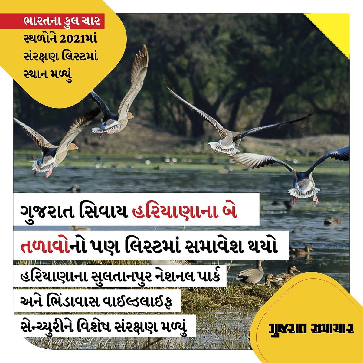 #GujaratSamachar
#GSNews
#RamsarSites 
#Thollake 
#VadhvanaLake