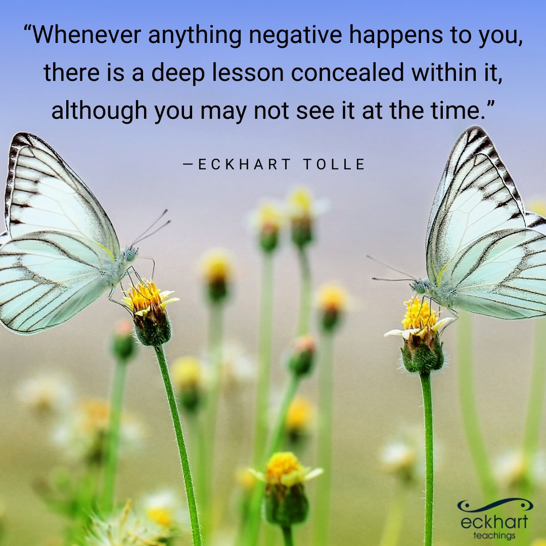 “Whenever anything negative happens to you, there is a deep lesson concealed within it, although you may not see it at the time.” - Eckhart Tolle