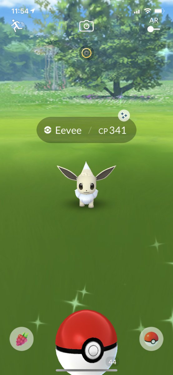 I got 2 shiny eevee yesterday! :) which I know isn’t much but I was working a 12 hour day! So I’m going to play again today when I get off at 3 and try to get some more!! Yay :)