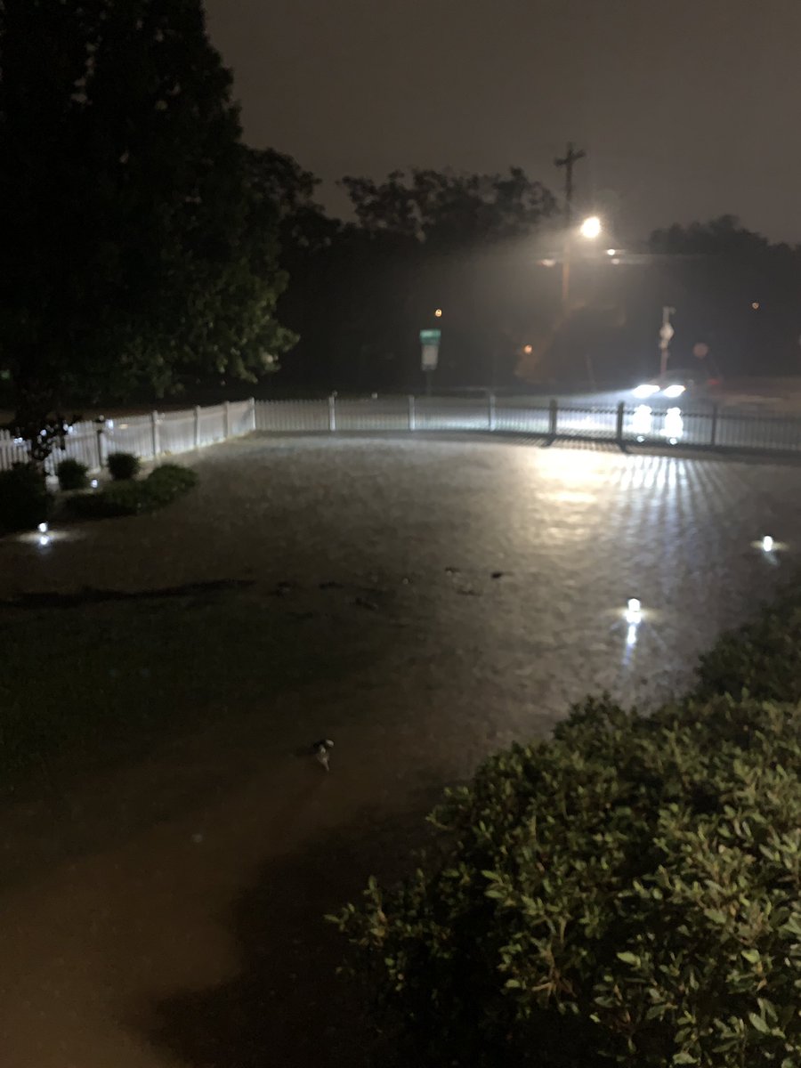 Bryan LeBude M.D. tweet media