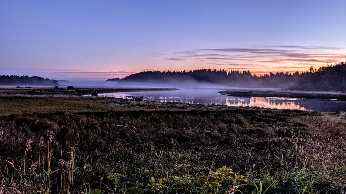 Copalis_Beach's tweet photo. #CopalisBeach #CopalisRiver #sunrise #WashingtonCoast https://t.co/Bk9yCXFMco