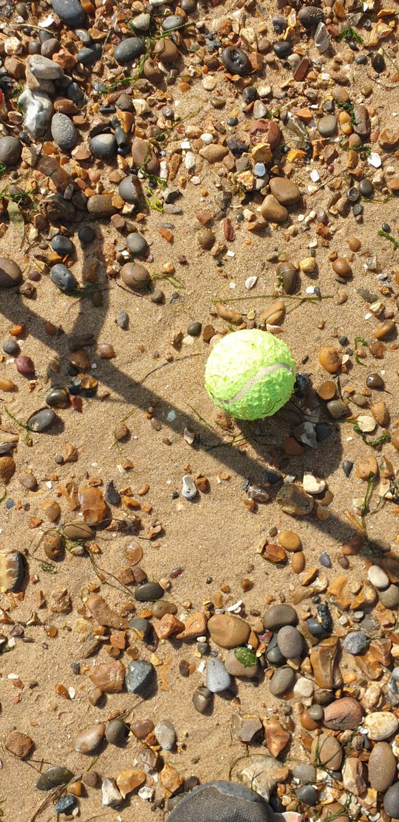 SouthendBeachCare tweet media