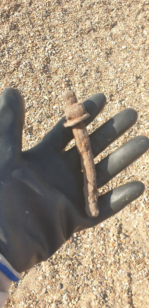 SouthendBeachCare tweet media