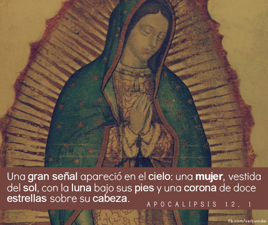 Ministerio VerbumDei on Twitter: Ministerio VerbumDei on Twitter: