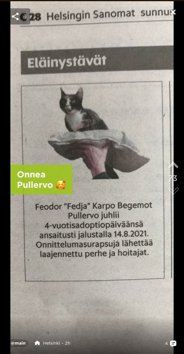 UrsinAnna's tweet photo. Kun sun kissa on tunnetumpi kuin sinä #eläinystävät #pullervo #jodeljulkkis https://t.co/T44YllHQF7
