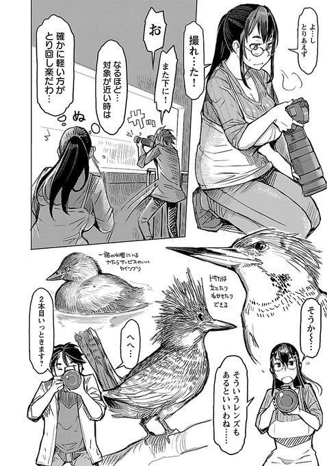 見に行ったヤマセミがまだ元気なようでうれしい 