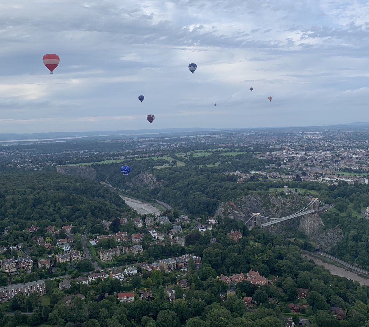 DickyPowell tweet media