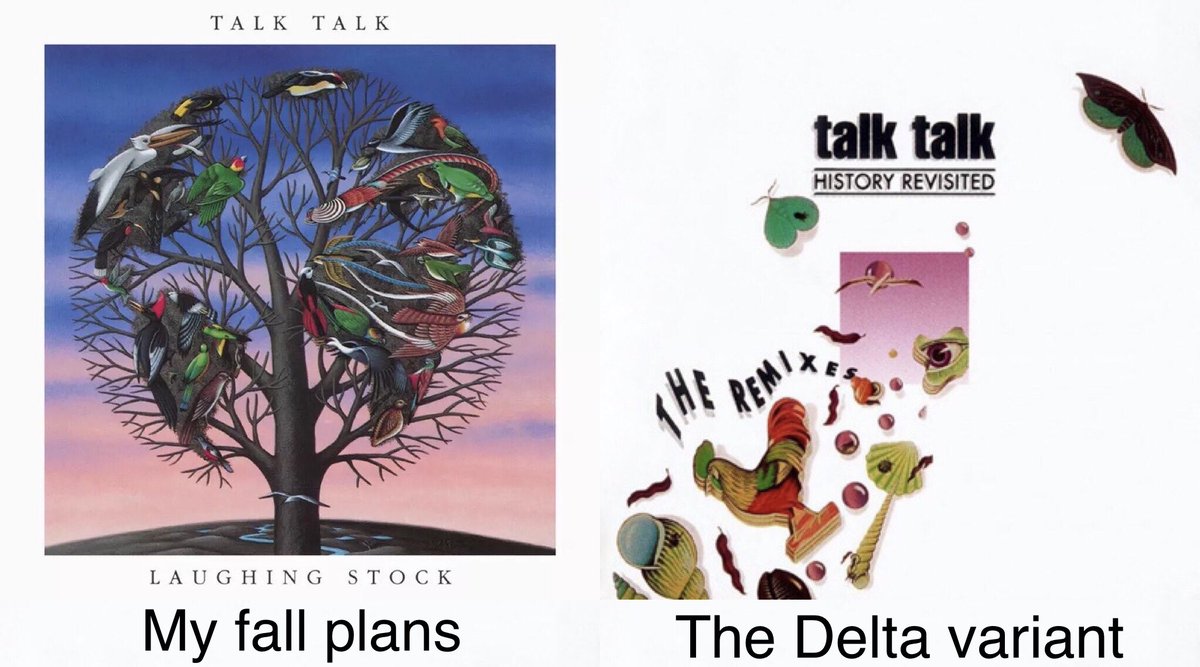 AKPeanut's tweet image. Ha! #talktalk #markhollis #paulwebb #leeharris #notleeharrisenergy #laughingstock
