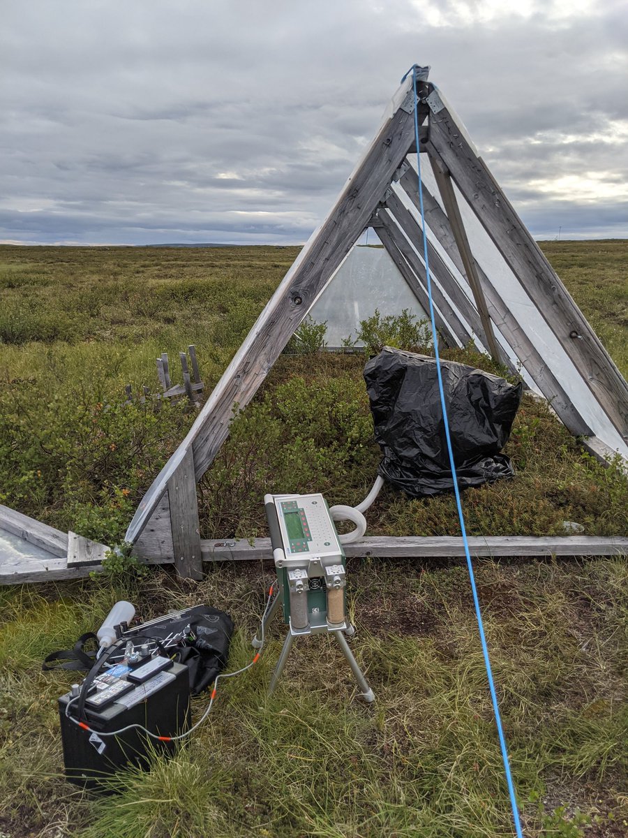 It's taken two years to get here because of the pandemic, but it has definitely been worth the wait! #tundraecology #carbonfluxes #carbonsequestration