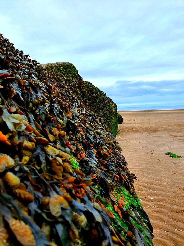 GreenTreeArt6's tweet photo. #kimnelbay #Wales #beach #seaside #searocks #summerholiday #twitternaturecommunity
#natureuk
#wildlife_uk
#naturephotogrphy
#thephotohour
#loveukweather
#landscapephotography
#landscape
#nature
#stormhour https://t.co/jb4OlCeLwF