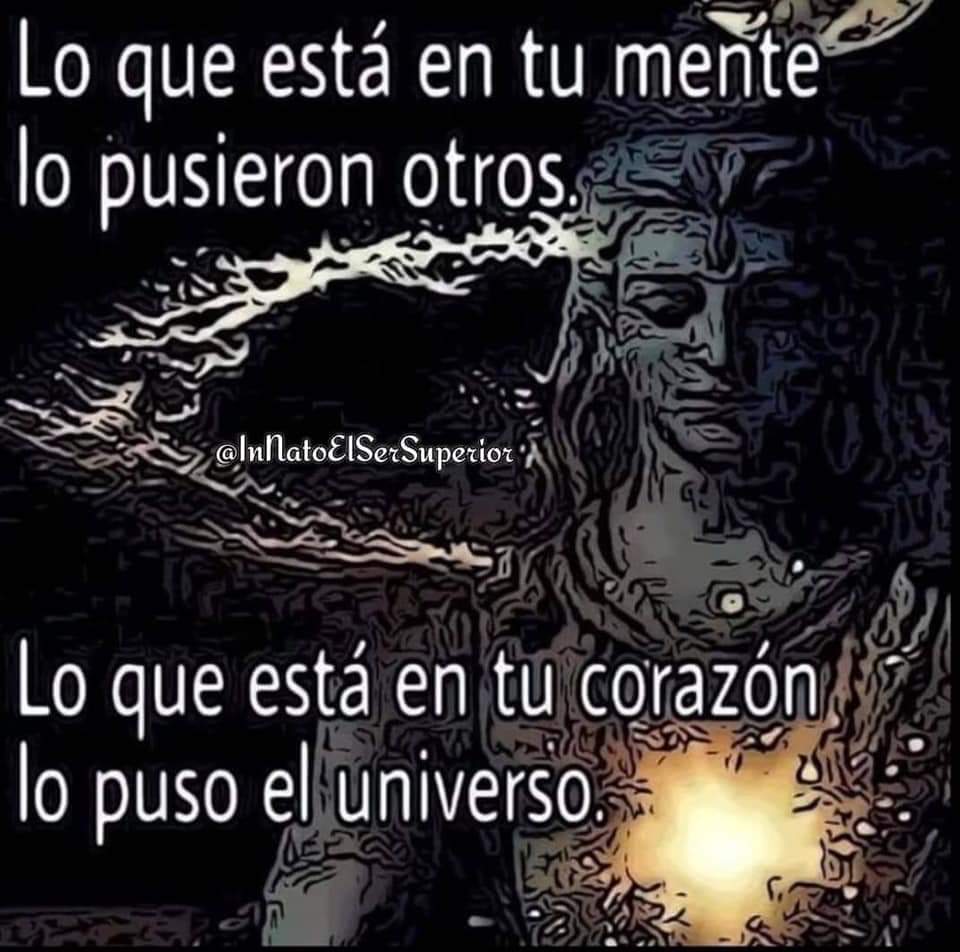 LazzariniMayra's tweet photo. Déjate guiar por tu intuición, mantente alerta a las señales.
#mlcoach #Domingo #FelizDomingo https://t.co/IhNn0xdO31