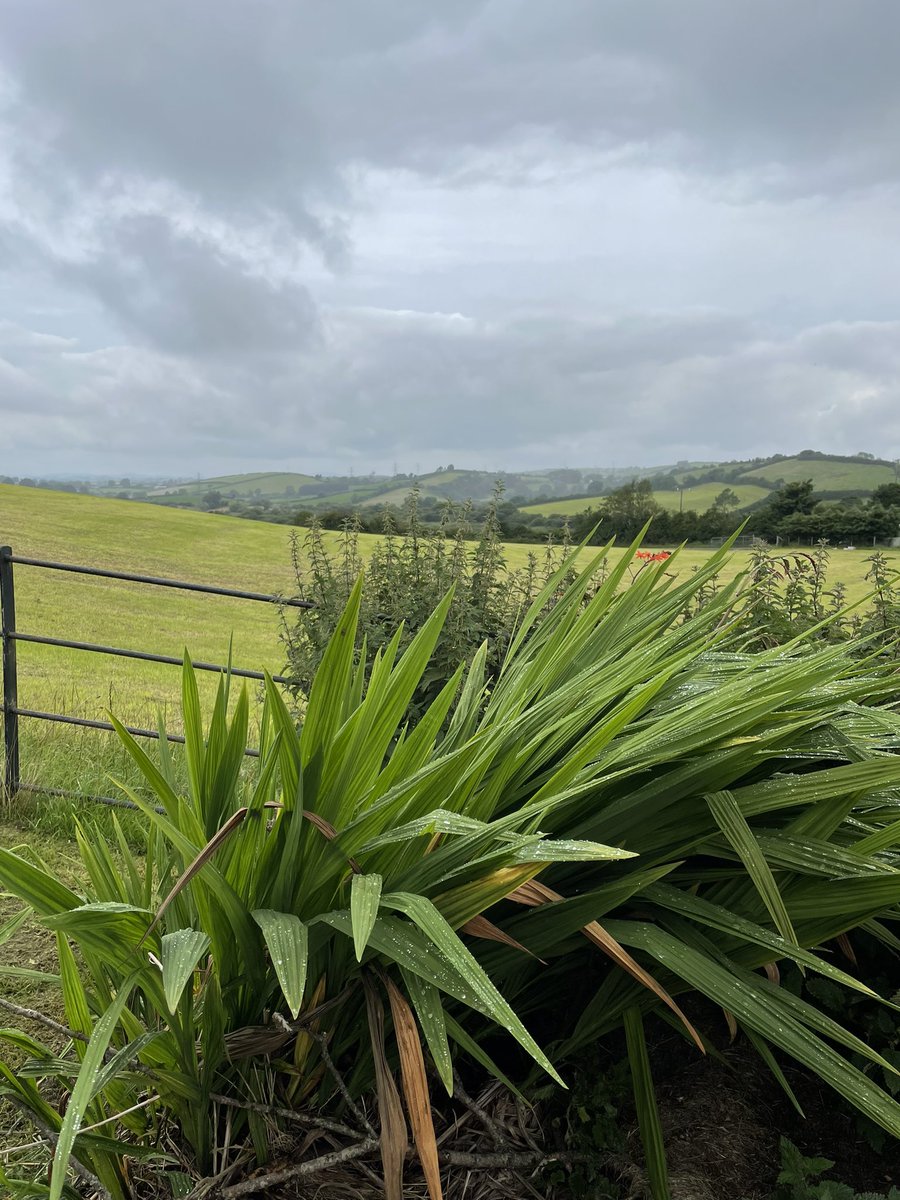 McelhillD's tweet photo. Day 15 and some lovely Co. Down cycling this morning #AHPsActive #WeActiveChallenge #myphysicalphoto https://t.co/GAbEcYqRt5