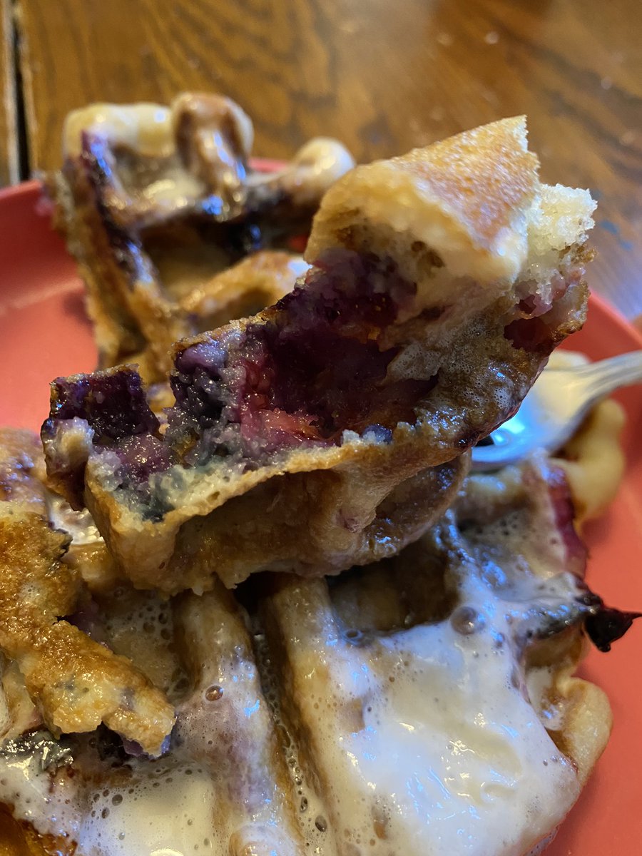 dailylifefrank's tweet photo. IT’S WAFFLE SUNDAY!! This week is blueberry.
#waffles #wafflesunday #delicious #food https://t.co/sgDm0rUxg9