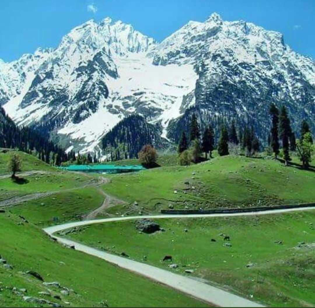 Soni44875089's tweet photo. #HappyKupwara #SecularIndia #KupwaraDeveloping
#Kashmir https://t.co/V9ScRpqAIh