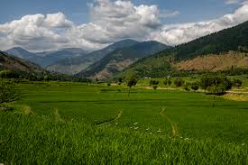 Soni44875089's tweet photo. #HappyKupwara #SecularIndia #KupwaraDeveloping
#Kashmir https://t.co/ht9NDbCpAk