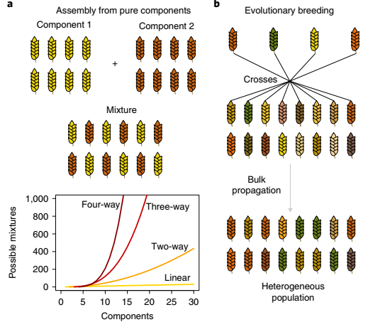 Hay fuerte apoyo teórico a que las mezclas de genotipos en un cultivo deberían aumentar la resistencia a enfermedades, el rendimiento y su estabilidad. Sin embargo, el desarrollo comercial de esta alternativa es mínimo. Artículo libre.
nature.com/articles/s4155…