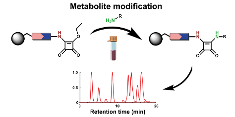 I am excited to share <a href="/Weifeng_Lin13/">Weifeng Lin</a>'s next publication, in which we introduce squaric acid as a new chemoselective moiety for mass spectrometric amine metabolite analysis. Check out our new study in <a href="/rsc_chembio/">RSC Chemical Biology</a>.
pubs.rsc.org/en/content/art…