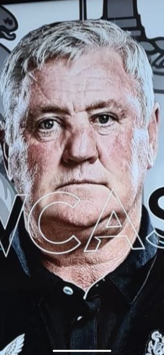 VBingos's tweet image. #nufc #cabbageball