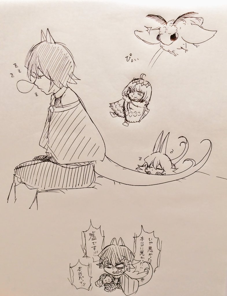 17cm6kg 