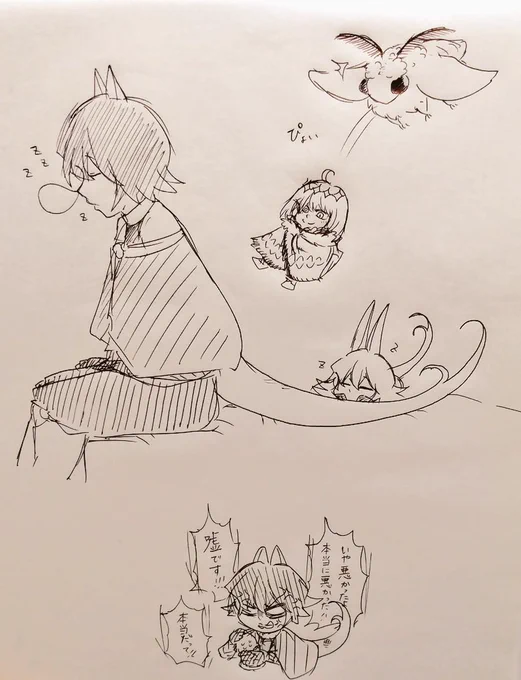 17cm6kg 