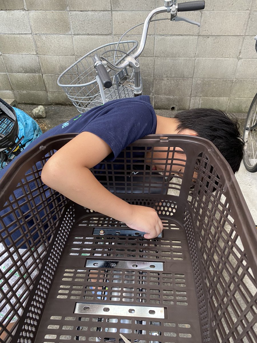 コーナン大好き