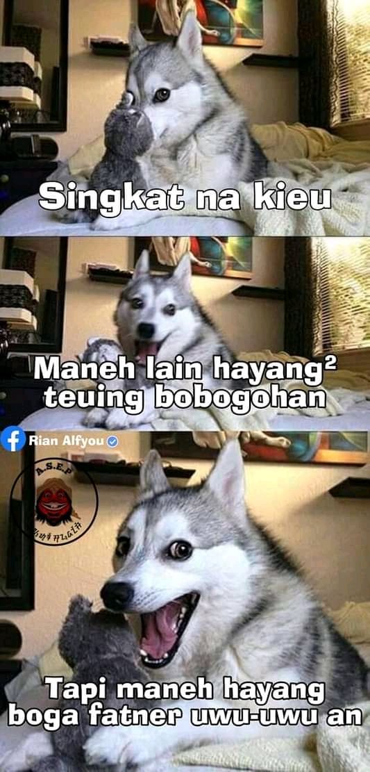 Bandungfess's tweet photo. Fatrner euy https://t.co/V2l9vgKZJJ