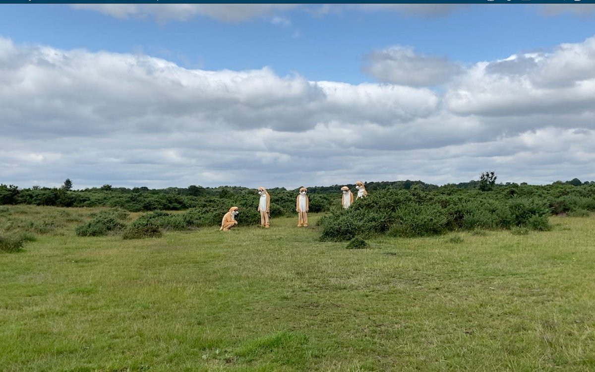 Great few days <a href="/101OutdoorArts/">101 Outdoor Arts</a> hunting for questions/answers/possibilities for a big new show - part of a trilogy I'm v excited about. Big progress was made &amp; it wouldn't have been possible to meerkat without <a href="/HannahRingham/">Hannah Ringham</a> <a href="/Nickihobday/">Nicki Hobday</a> <a href="/nadiapyramid/">Nadia Emam 𓂆</a> @NancyMessias @stefanrace