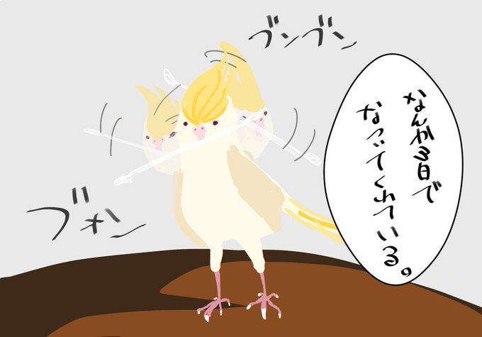 インコイラストのtwitterイラスト検索結果